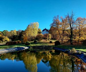 City break na jesień 2025. Polacy rezygnują z weekendów w miastach! Które metropolie notują największe spadki?