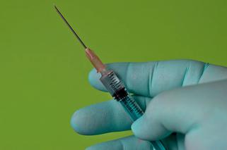 Wkrótce szczepionka na wariant Omikron! Będą dodatkowe szczepienia?
