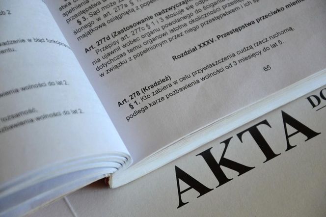Wpadli złodzieje, którzy okradli jedną z drogerii.  Już usłyszeli zarzuty