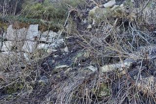 Weszli na zamknięty szlak w krótkich spodenkach i adidasach. Później wzywali pomoc