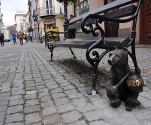 Urocze niedźwiadki tchnęły życie w przemyskie stare miasto