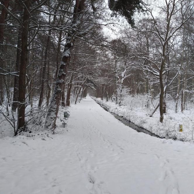 Śnieg na Pomorzu. Zima w obiektywach naszych Czytelników