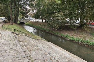 Szykuje się sprzątanie Kłodawki w Gorzowie. Kiedy?