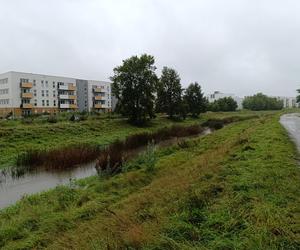 Sytuacja pogodowa we Wrocławiu i okolicach