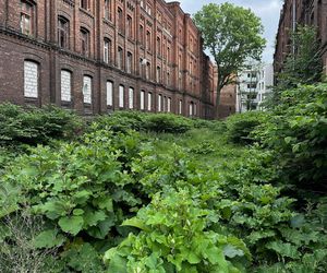 Zabytkowe famuły Izraela Poznańskiego w Łodzi 