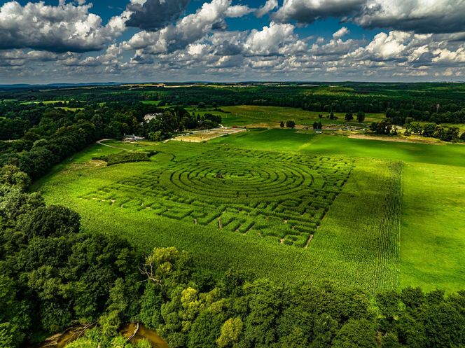 Labirynt w Kurozwękach
