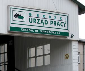 Pilnie poszukują pracowników w tej branży! Polacy nie chcą takiej pracy