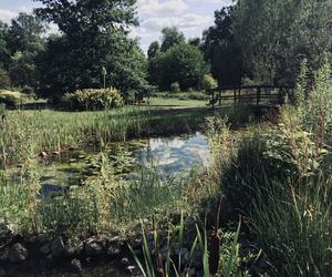 Arboretum w Marculach – wiosną warto odwiedzić to miejsce 