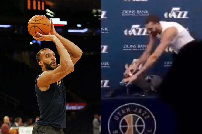 Rudy Gobert 
