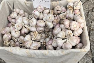 Europejski Festiwal Smaku w Lublinie. Gości kusiły krajowe i lokalne specjały