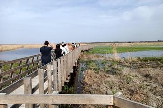 Kładka Śliwno-Waniewo. Ruszył sezon. Masa specerujących