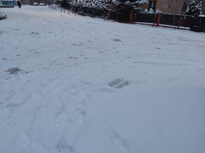 Śnieżna noc za nami. Czy zima zaskoczyła mieszkańców Poznania? 