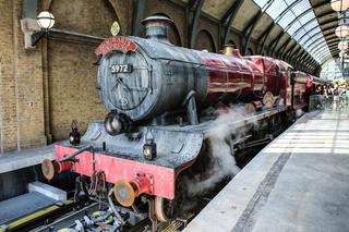 Harry Potter. Tak wygląda park dla fanów magii w USA. Każdy fan chciałby go odwiedzić!