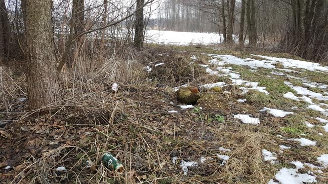 Śmieci w Łomżyńskim Parku Krajobrazowym Doliny Narwi