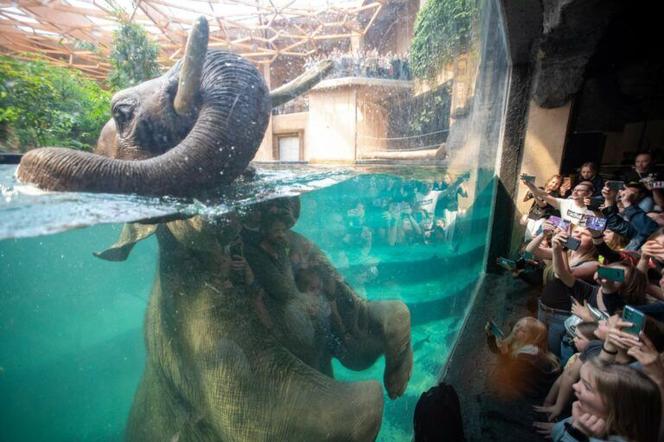 Orientarium Łódź ZOO