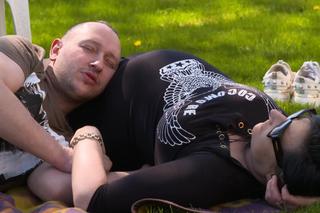 Chłopaki do wzięcia