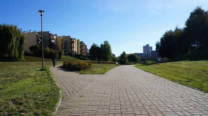 Filary porośnięte bluszczem w Lublinie! Tak się prezentują w jesiennej odsłonie