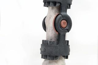 Start-up WIMBA: drukują ortezy dla psów w drukarkach