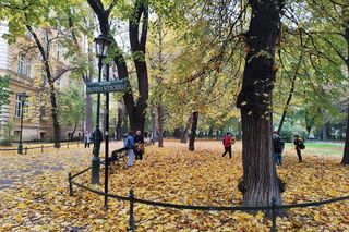 Te widoki zdobywają internet! Polska złota jesień w najlepszej odsłonie 