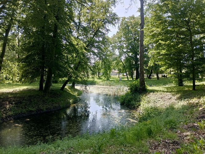 Parki podworskie w powiecie gdańskim