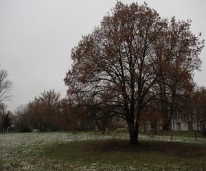 Styczniowy spacer po Kalinowszczyźnie