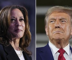 Polacy mają wyraźnego faworyta! Trump czy Kamala Harris? Wszystko jasne