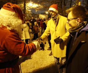 Dzielnicowe choinki w Gdańsku już świecą