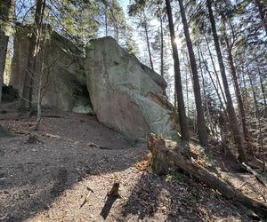 Wiosenny spacer po rezerwacie Prządki. To  niezwykła trasa na Podkarpaciu