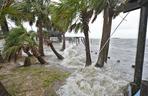 Huragan Debby wyrzucił na plaże kokainę wartą milion