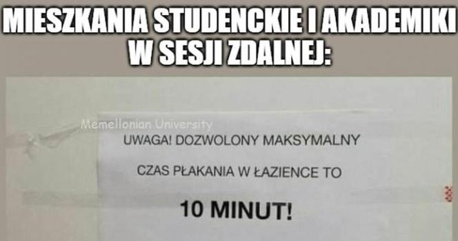 Tak studenci walczą o zaliczenie! Zobacz najlepsze MEMY o sesji!