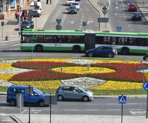 Zmiana rozkładu jazdy autobusów od 1 lipca w Białymstoku. Wchodzi letni rozkład jazdy BKM