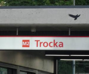 Tragedia w metrze. Pasażer wpadł pod pociąg, nie było szans na ratunek 