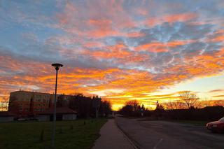 Kolorowy spektakl na niebie na Dolnym Śląsku. Co zwiastuje czerwone niebo? 