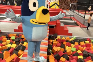 Fly Park w Kielcach świętuje pierwsze urodziny! 