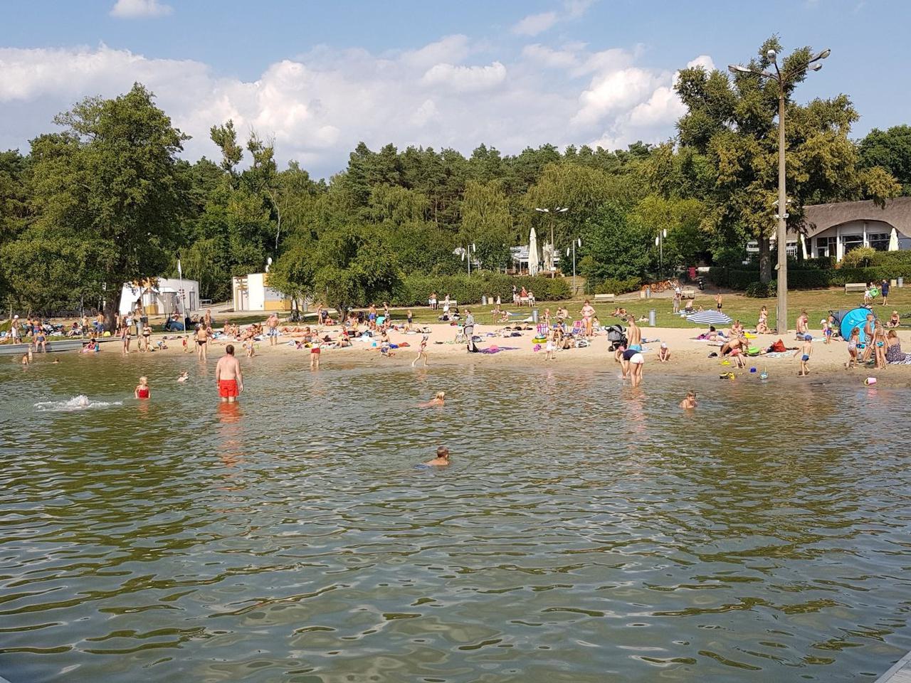 Koncert Na Falach już w weekend! Wstęp tylko dla osób zaszczepionych 