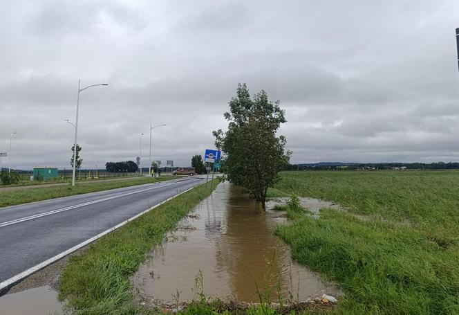 Powódź 2024 w Nysie. Miasto pod wodą