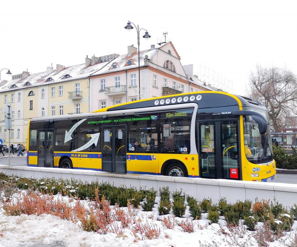 Kalisz. Jak pojadą autobusy w czasie Świąt i Nowego Roku?