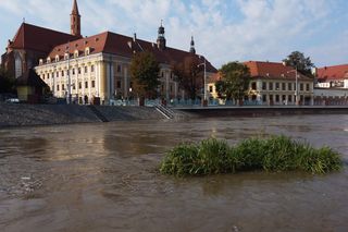 Wrocław. Fala w centrum miasta.
