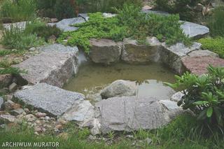 OCZKO WODNE: kamienny brzeg oczka wodnego