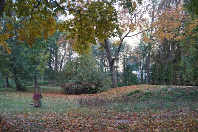 Park Lubomirskich w Białymstoku jesienią 