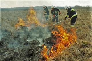Męczący weekend dla strażaków. Płonęły trawy na nasypach kolejowych
