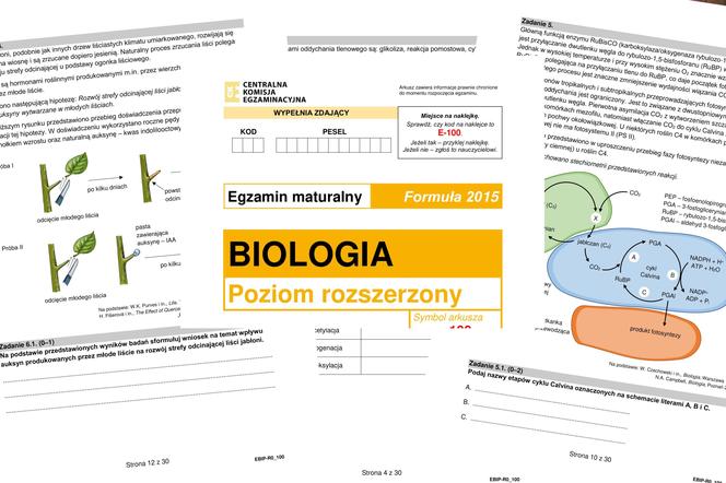 Matura 2024: biologia formuła 2015. Odpowiedzi i arkusz CKE do pobrania [STARA FORMUŁA 14.05.2024]