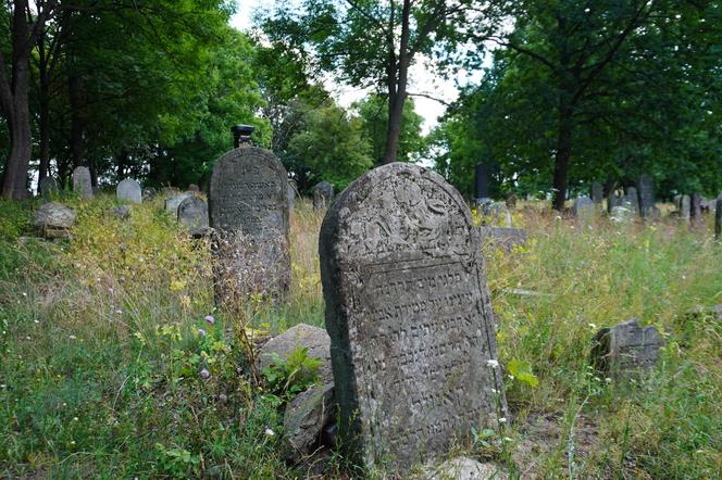 Zabytkowy cmentarz żydowski z XIX wieku w Białymstoku. Ostatnia taka ocalała nekropolia w mieście