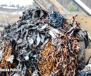 Zorganizowana grupa przestępcza zakopywała odpady w Przemęckim Parku Krajobrazowym