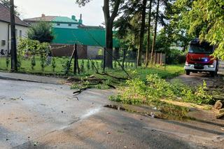 Połamane drzewa, uszkodzone dachy i samochody. To obraz po nawałnicach, które przeszły przez Tarnów i region 