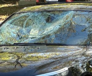 Uszkodzone samochody na Mokotowie