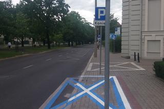 Nowy sposób oznaczania miejsc parkingowych dla niepełnosprawnych.