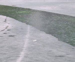 Morskie Oko zaśmiecone jak nigdy. To sprawka turystów. TPN opublikował zdjęcia.