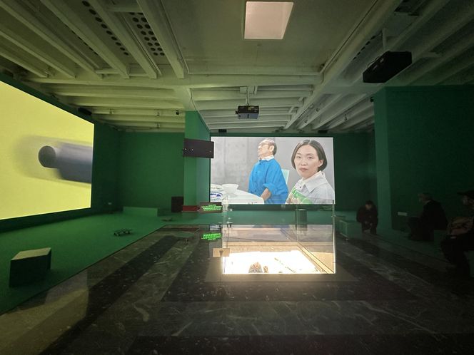 Pawilon Japoński - Biennale Wenecja 2025