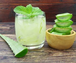 Aloes - właściwości lecznicze i zastosowanie